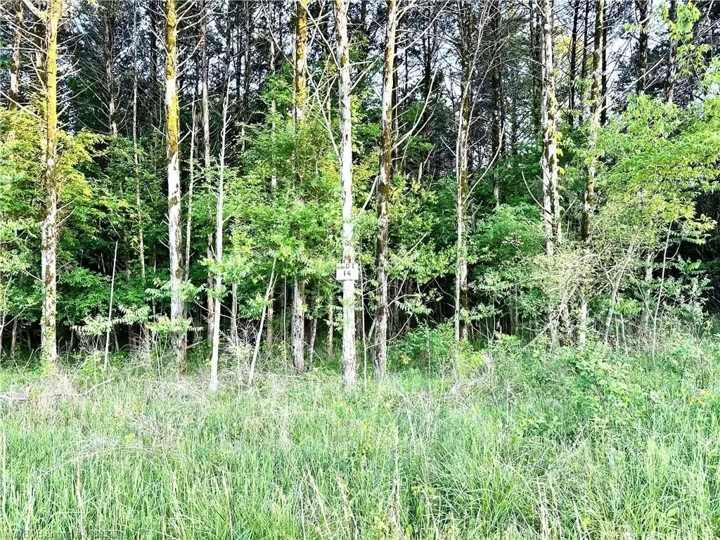 Picture 27