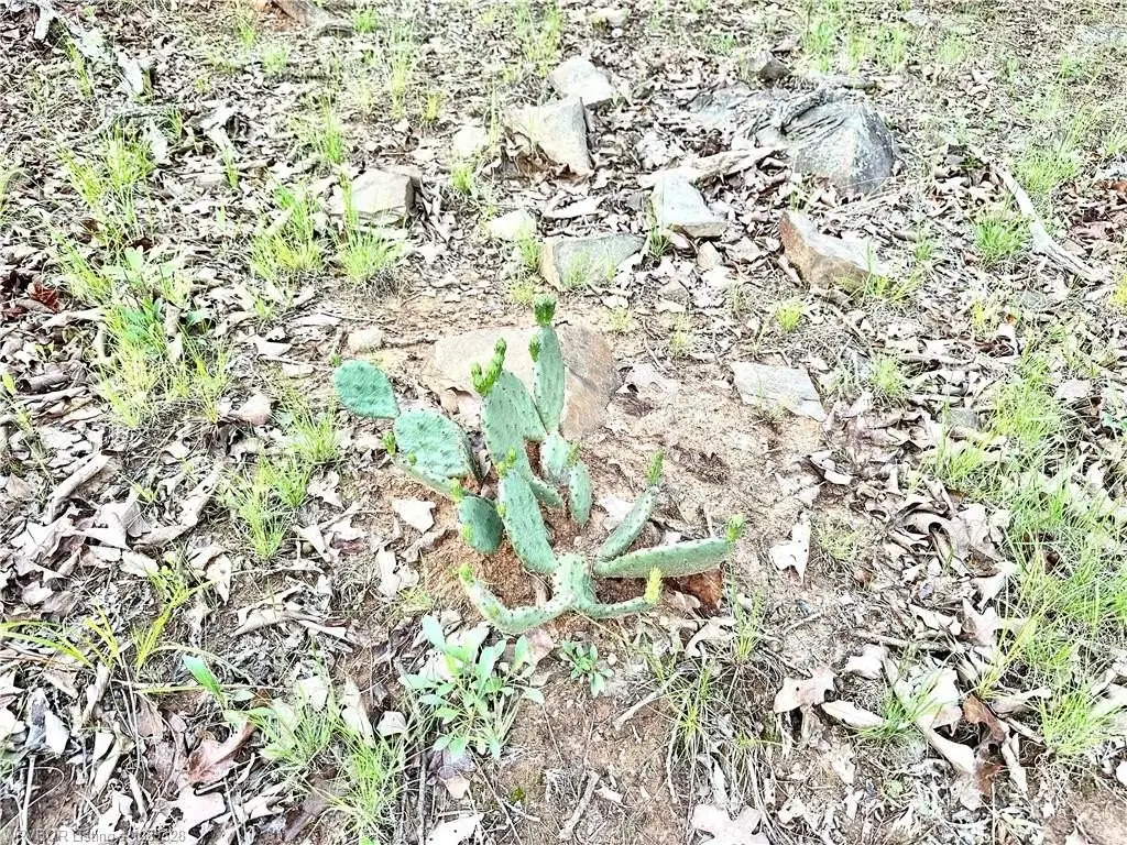 Picture 16