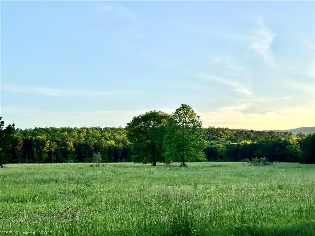 Picture 8