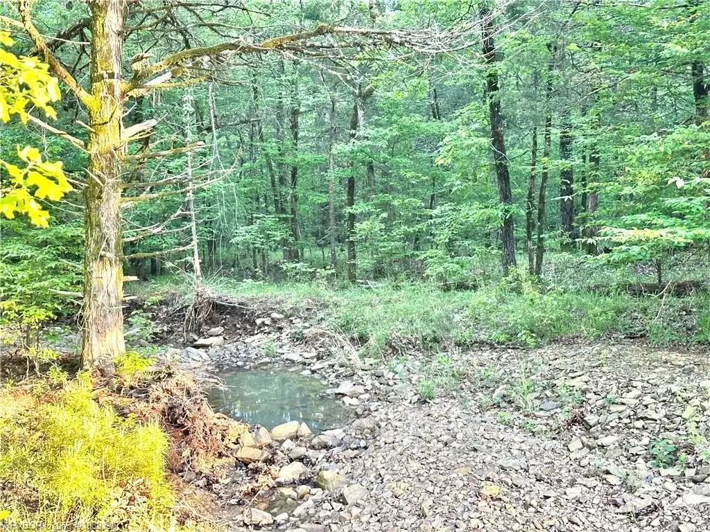 Picture 25