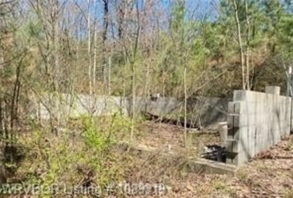 Picture 8