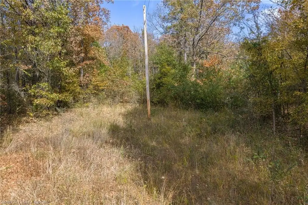 Picture 19