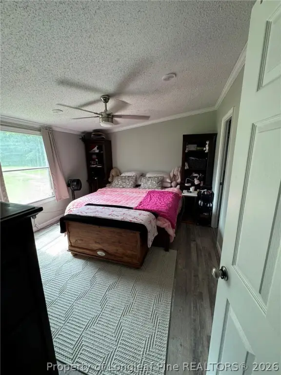 Picture 20