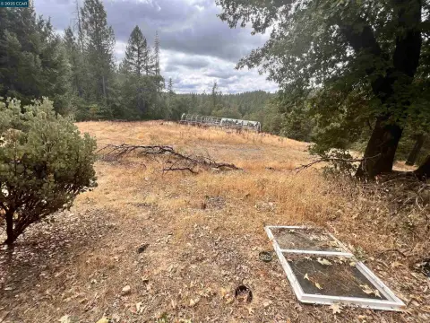 Georgetown Land For Sale