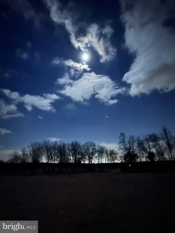 Picture 42