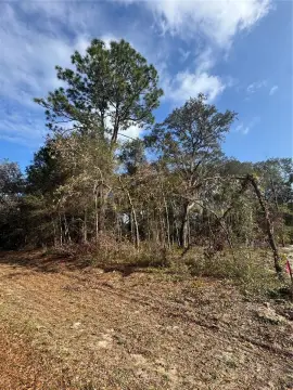 Residential Lot in Ocala, FL