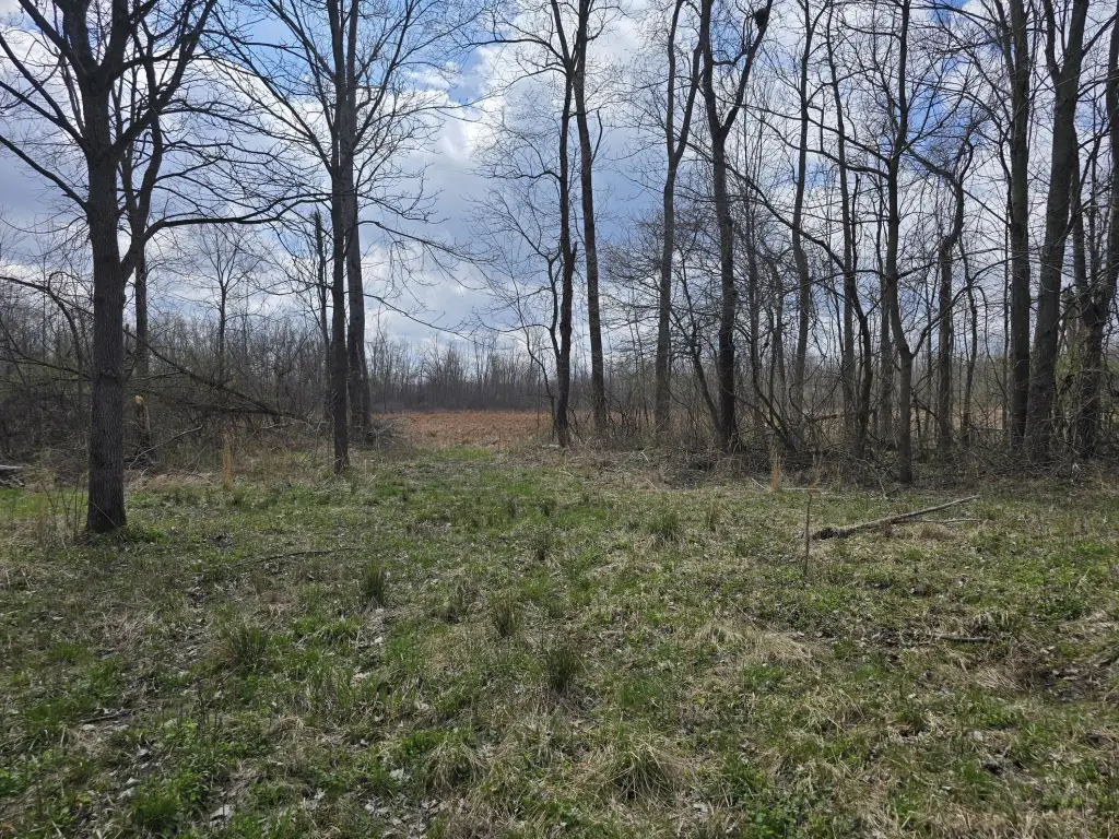 Picture 28