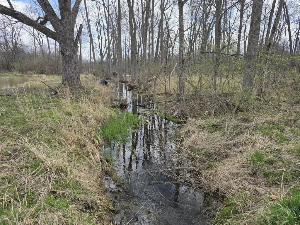 Picture 38