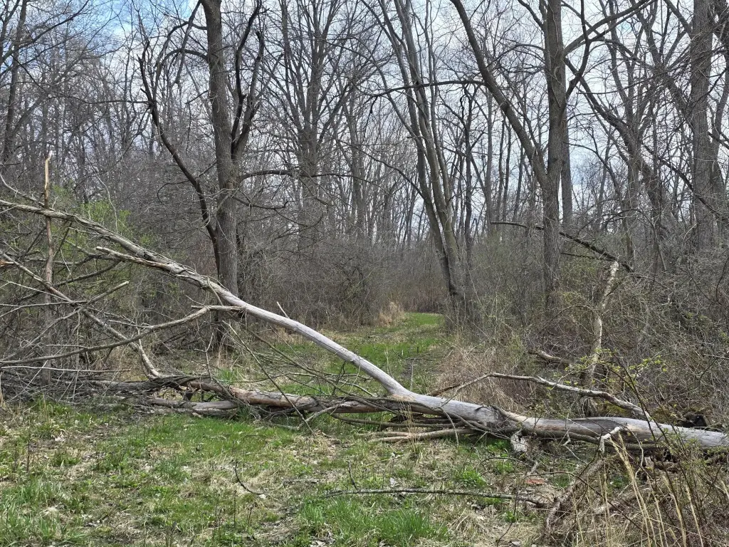 Picture 31