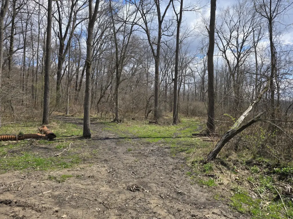 Picture 21