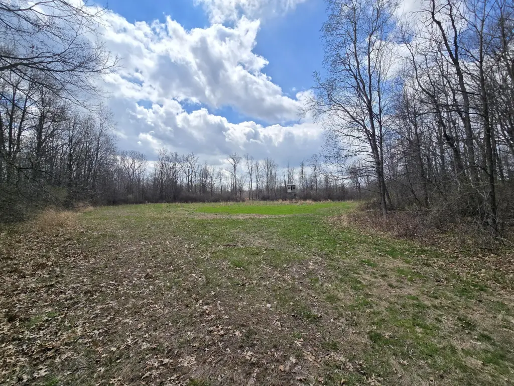 Picture 25