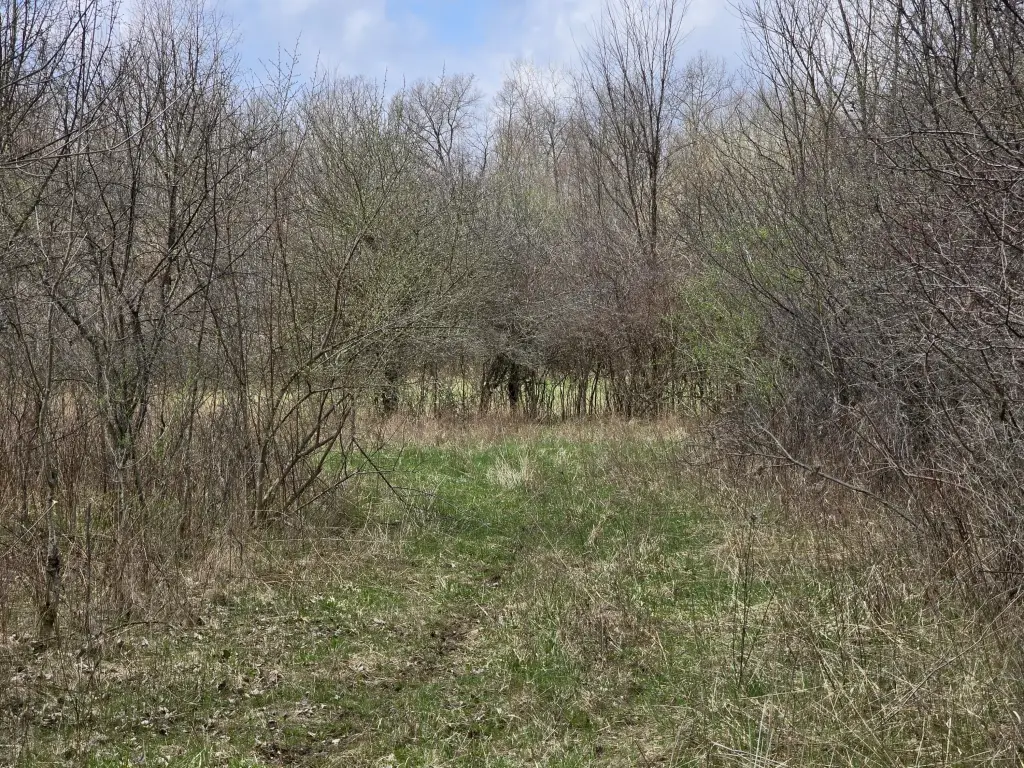 Picture 34