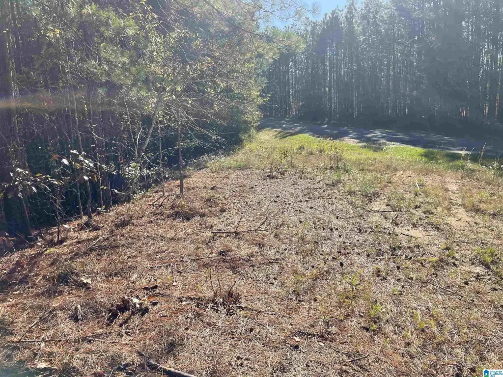 Picture 48