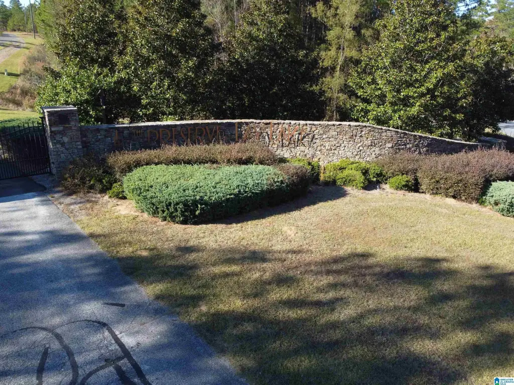 Picture 41