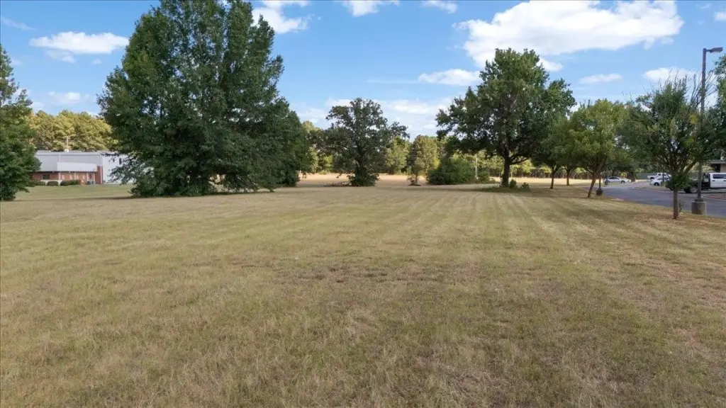 Picture 7