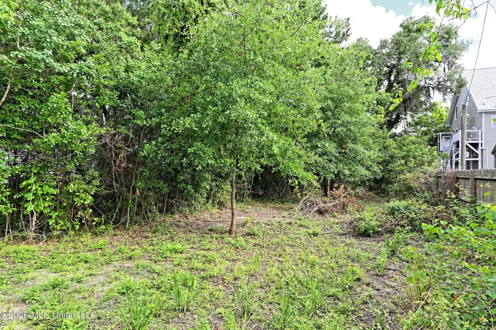 Picture 5