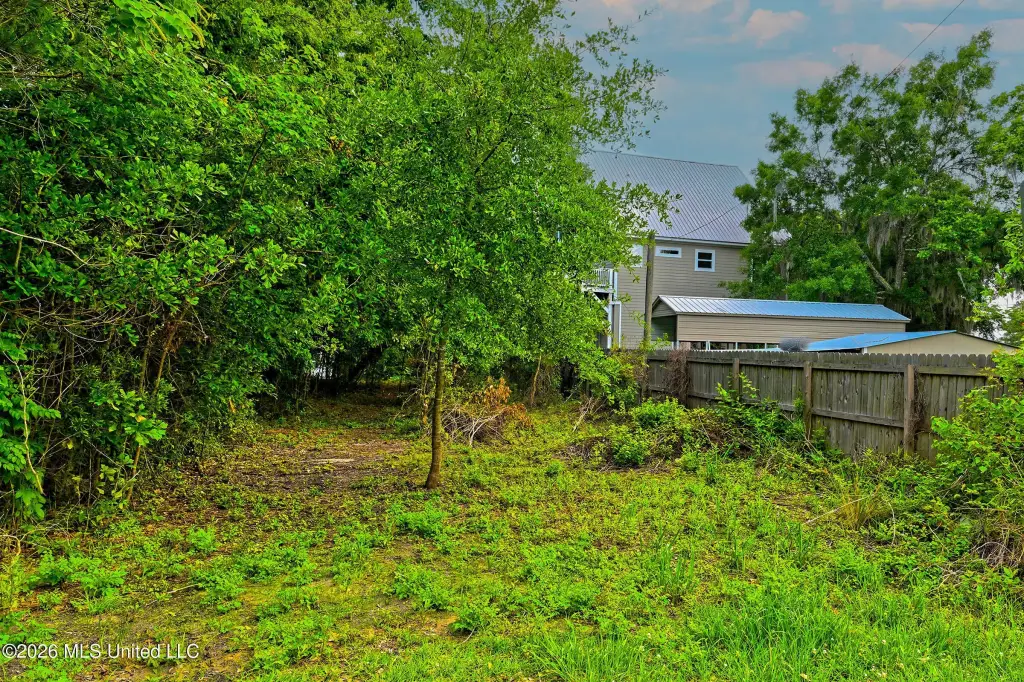Picture 9