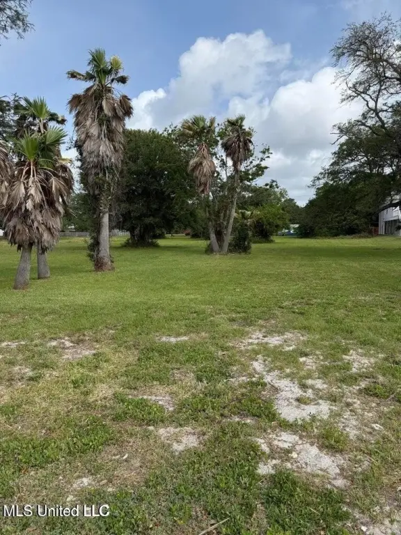 Picture 2