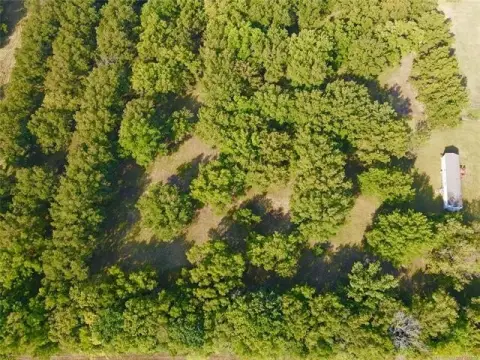 Pecan Orchard Estate on 15+ Acres