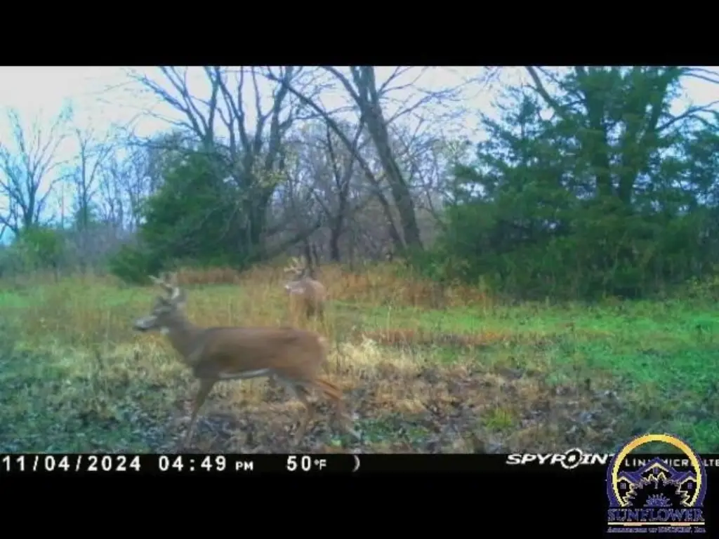 Picture 19