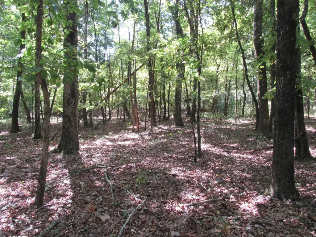 Picture 23