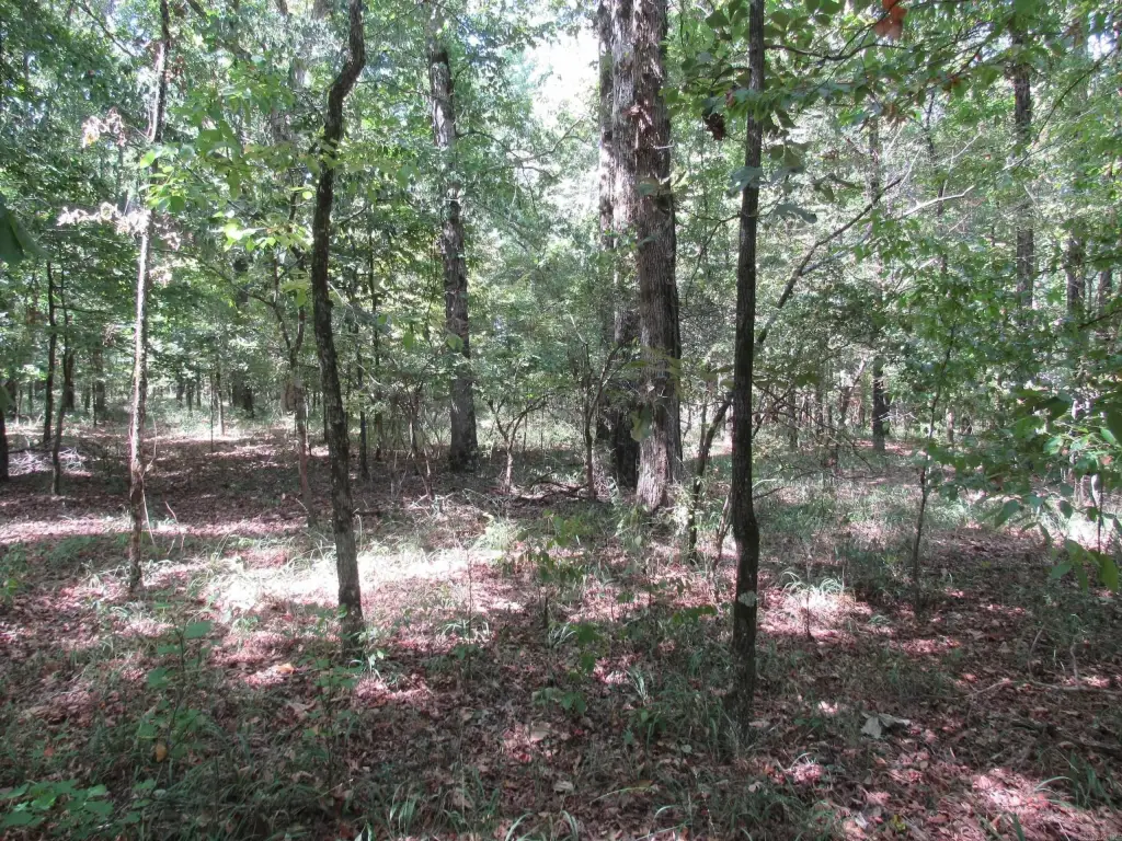 Picture 20