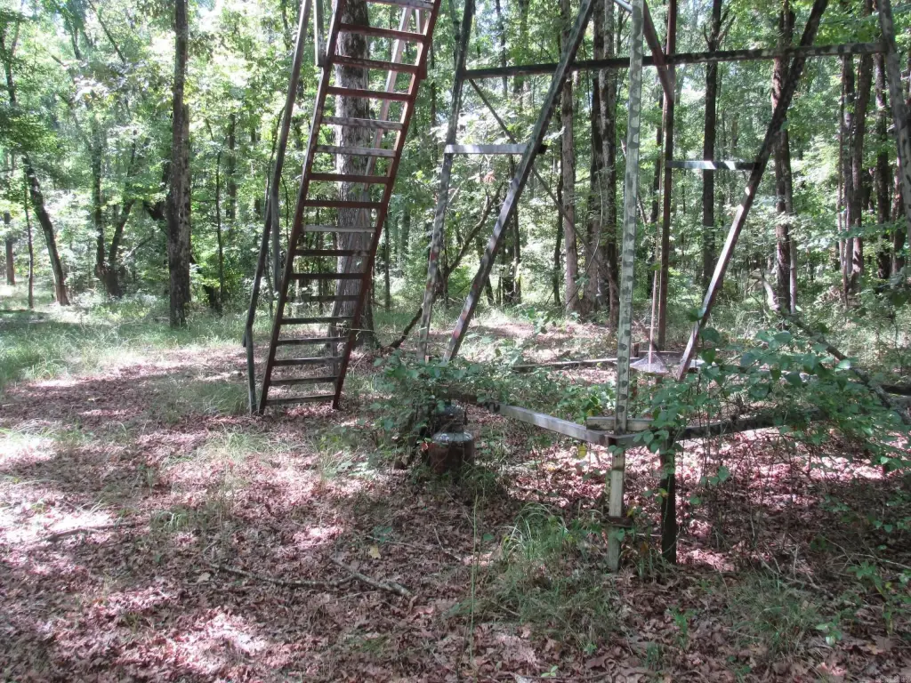 Picture 27