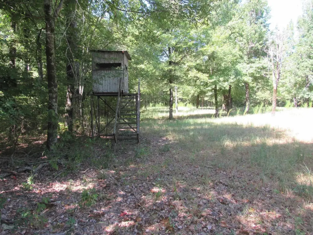 Picture 16