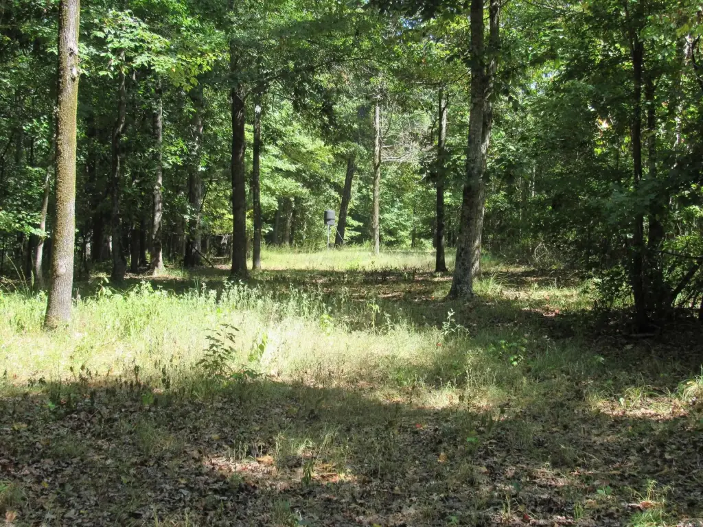 Picture 36