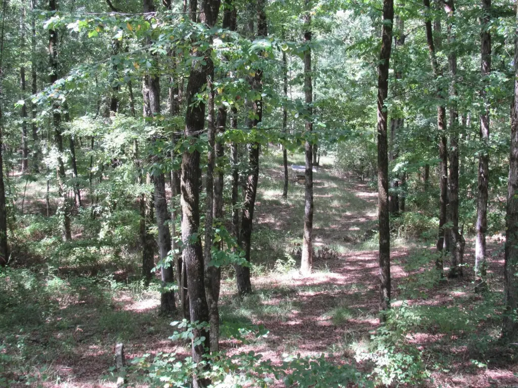 Picture 30