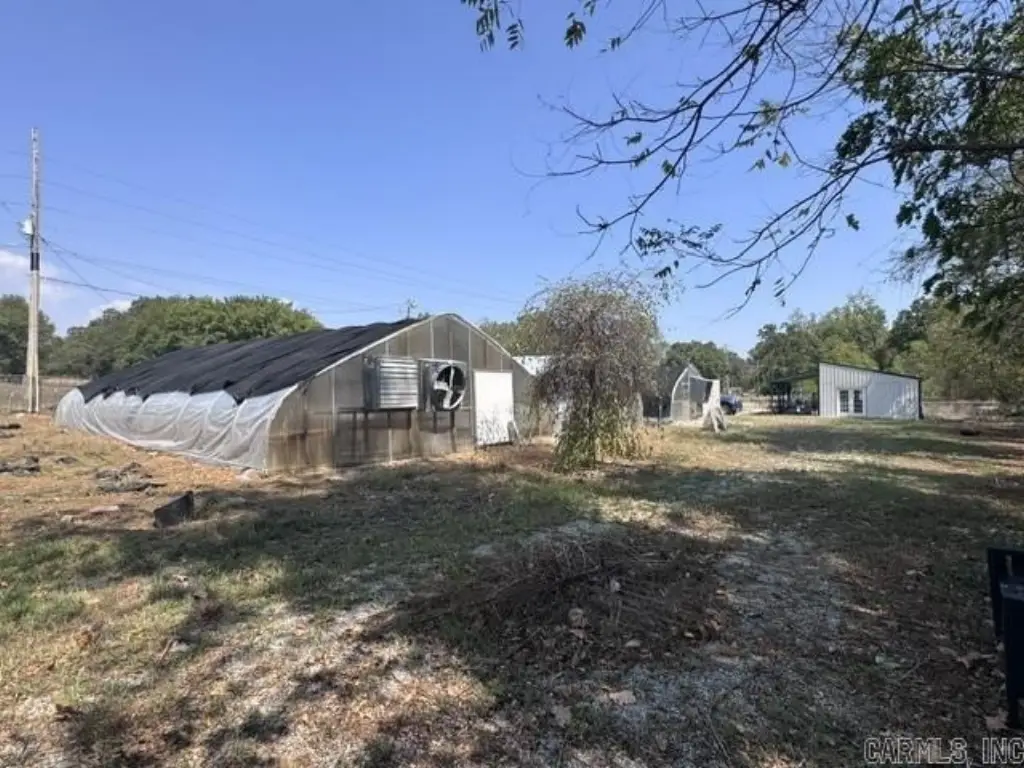 Picture 25