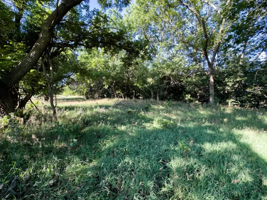 Picture 40