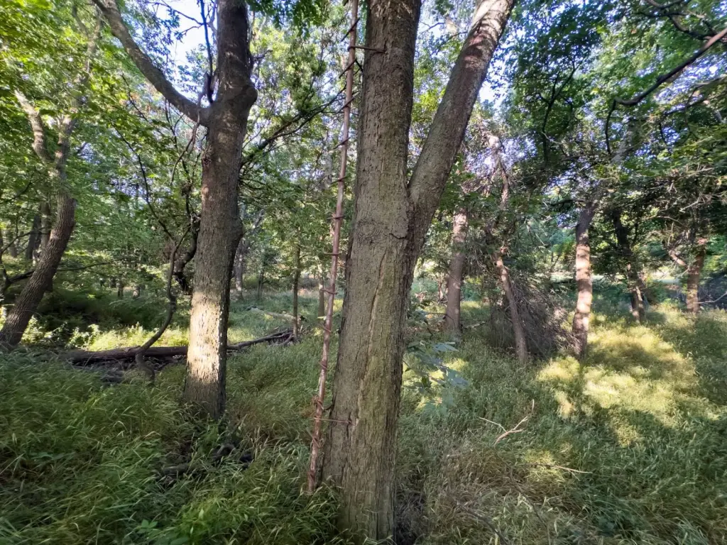 Picture 41