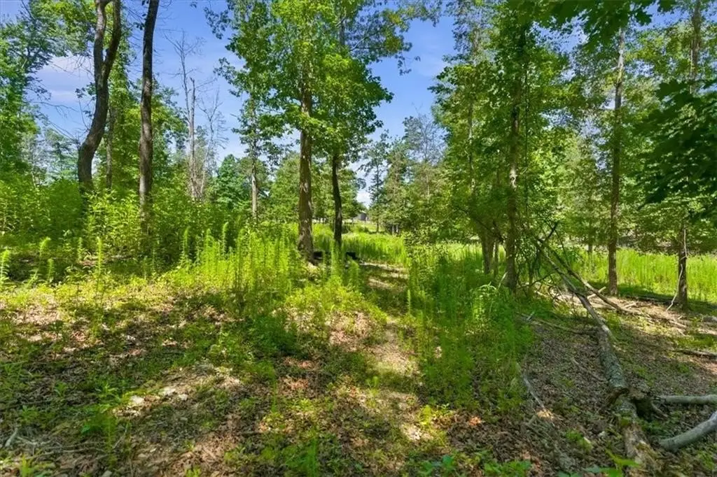 Picture 25