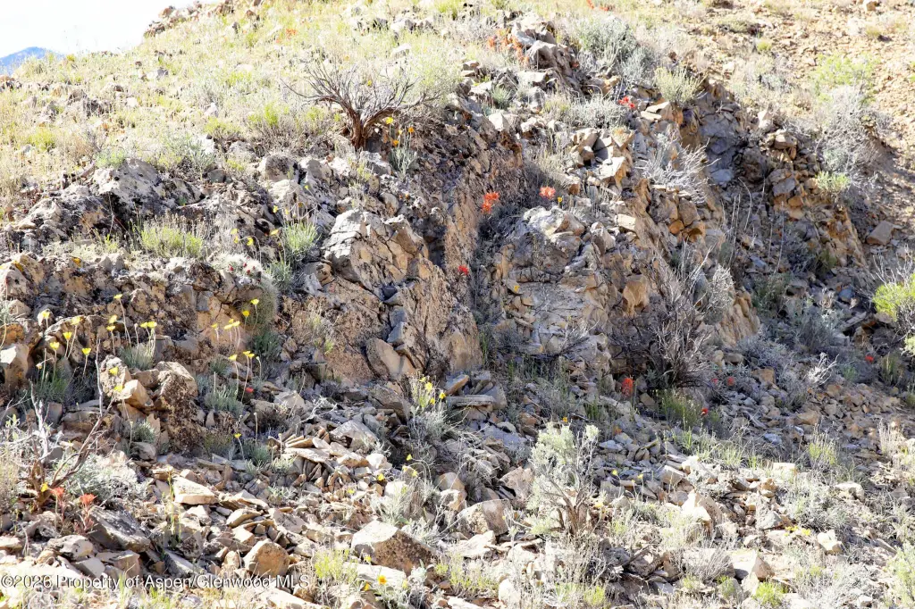Picture 32