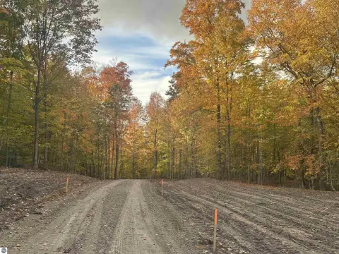 5.55 Acre Wooded Building Site