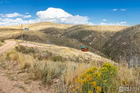 Land Bordering National Forest