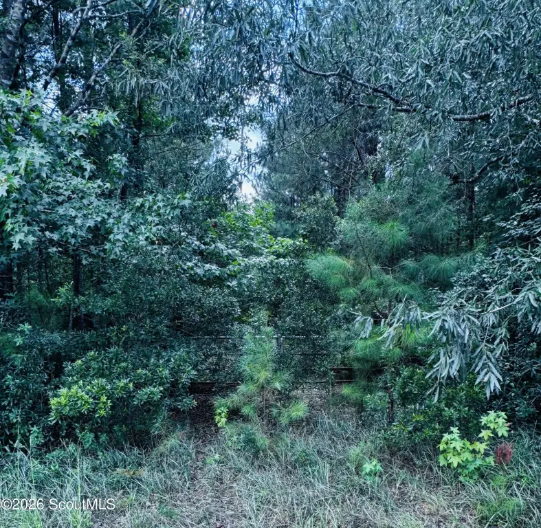 Picture 3