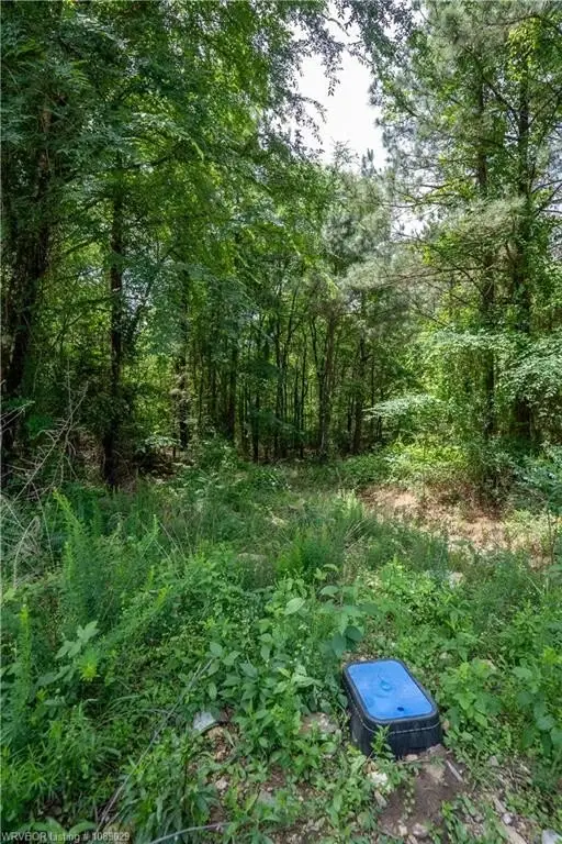 Picture 21