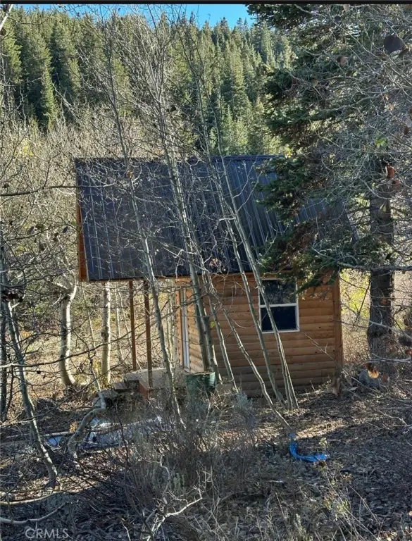 Picture 10