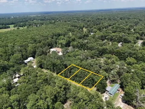 Lake Livingston Quarter-Acre Homesite