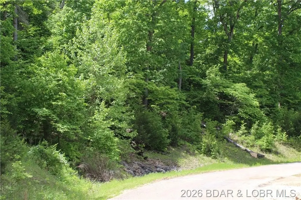 Picture 6