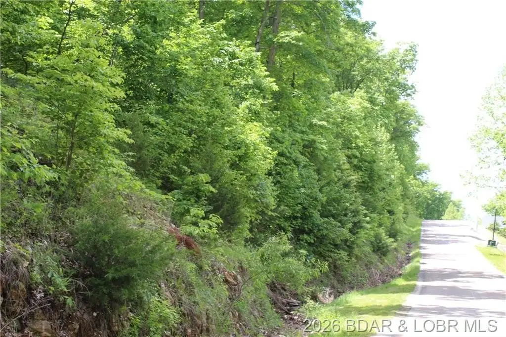 Picture 4