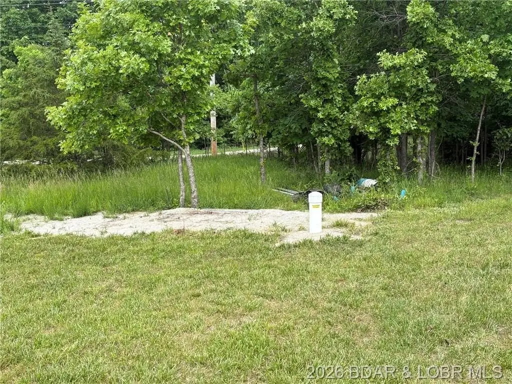 Picture 5