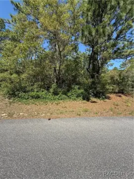 Residential Lot in Citrus Springs