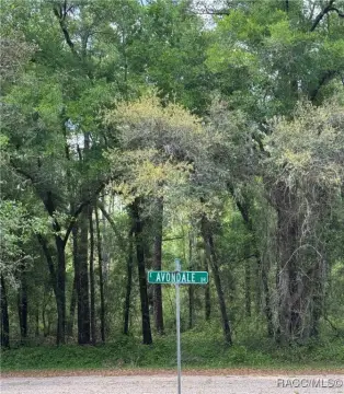 Land in Citrus Springs