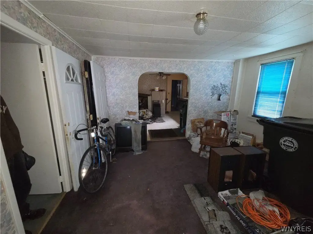 Picture 3