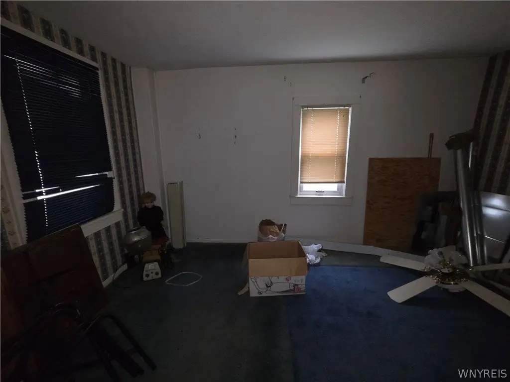 Picture 5