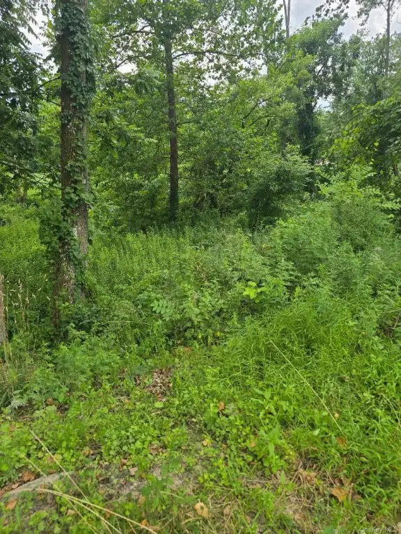 Picture 29