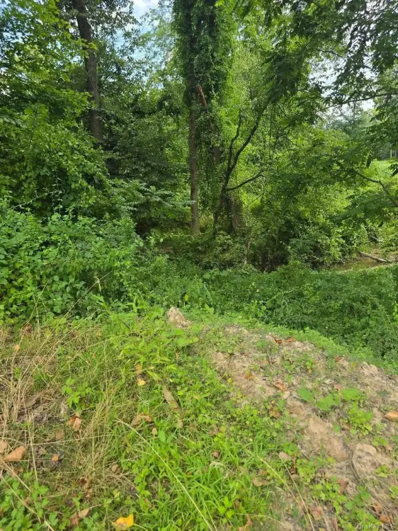 Picture 28